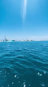 66K views · 1.3K reactions | The 2023 Orange Beach Billfish Classic kicked off at Noon today with 42 fishing teams competing for nearly $1 Million. Join us Friday at 7pm + Saturday at 6pm at Marlin Circle for weigh ins. Good luck to all the teams! ️ #TheWharfOBA #OrangeBeach #GulfShores #Alabama #OBBC #Fishing #TournamentFishing #GulfCoast #SportFishing | The Wharf | Facebook