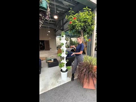 How to Build a DIY Hydroponic Vertical Tower | Step-by-Step Gardening Tutorial