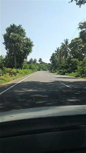 Peaceful Road Trip Vibes | Journey Mood