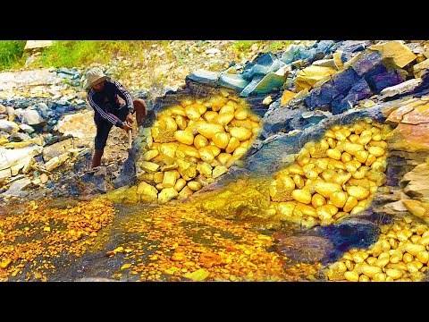 KH Skip navigation Search Create 9+ Avatar image Gold Miner Hunter !