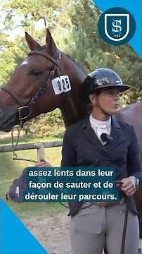 #hunter Quelles sont les qualités d’un cheval de hunter ? 🔎🐴 #shf #chevaux #poneys