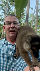 What an amazing experience getting up close to these lemurs! 🌍🙌🏻 #animal #endangeredanimals #nature #wildlife | Ivan Carter