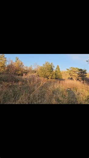 Mother Earth 🌎 | Gil Evans