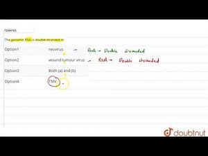 The genomic RNA is double stranded in