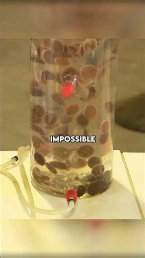 Scientist Made This Bacteria 😱