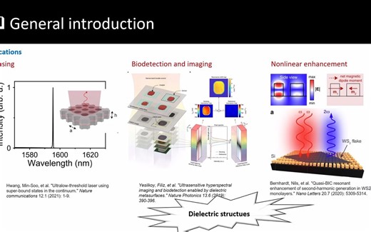 学术报告：Bound States in the Continuum in Plasmonic Metasurfaces
