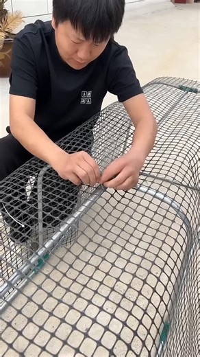 Tunnel Chicken Coop Run | Smart Poultry Farming Essential#ChickenCoop #PoultryFarming