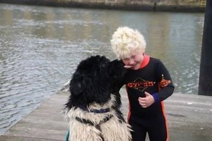 5.2K views · 53 reactions | Our Newfoundland Water Rescue event is...