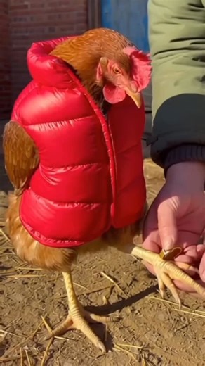 Breatric Curry on Instagram: "Got the gold iPhone case. My car wouldn‘t be complete without it.#funy #vlog #chick"