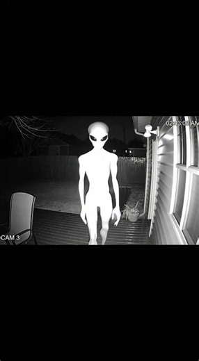 Camera captures a grey alien