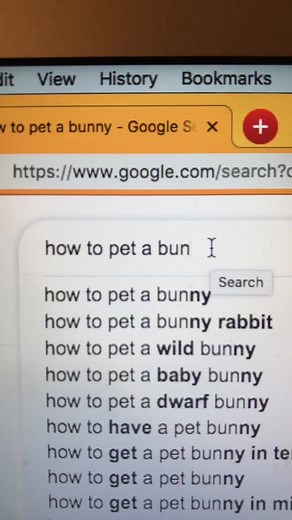 thanks wikihow! 😊 #foryoupage #foryou #wikihow #howto #bunny