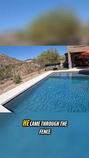 A snake fence with any gap at all is not only ineffective, but could result in encounters that otherwise wouldn't have happened. Full video showing a couple of examples: https://youtu.be/xIYzIE8xmIc?si=SDC_CdF8gd5u8RRz | Rattlesnake Solutions