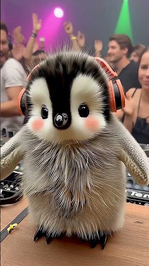 Adorable Penguin Dancing to the Beat