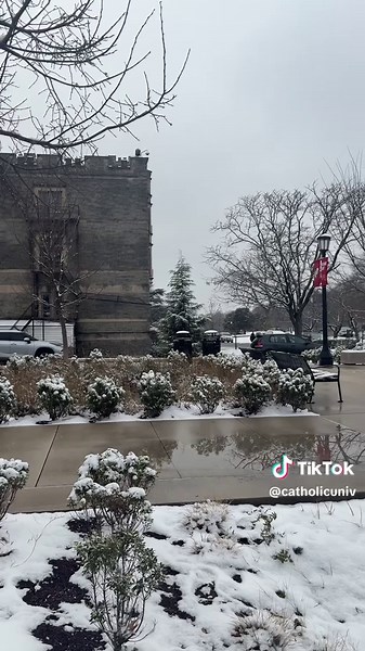 Magical Campus in the First Snow of the Season