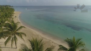 14 Tage reisen, nur 10 Tage zahlen in der wunderschönen Karibik 🍹🌺🌴 Jamaika | 14 Nächte | Reisezeit: 01.02.2021 - 31.10.2021 | 3☀ Merrils Beach Resort II & III | DZ & AI | Catamaran Sunset Cruise | 91% HC-Rate bei 159 BW | ab € 1.555,- ➤http://bit.ly/2Ks62KS | sonnenklar.TV