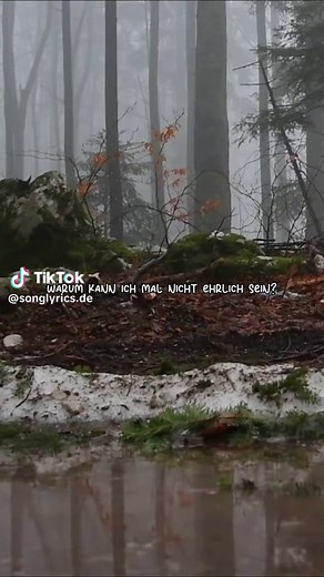 Mike Singer - Nein | #fy #music #lyrics