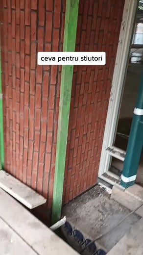 Exploring a Clay Brick Wall with Green Frame