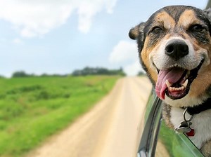 Your Memorial Day 2021 Road Trip Playlist When Leaving Waukesha