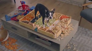 1M views · 496 reactions | You can now order Pizza Hut via any Amazon Alexa device. Enable the Pizza Hut skill, link your Pizza Hut account and start your order by asking 'Alexa, ask Pizza Hut to place an order'. | Pizza Hut | Facebook