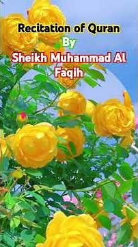 Sheikh Muhammad Al Faqih Recitation| Learn Quran Deeply | تلاوة خاشعة بصوت الشيخ محمد الفقيه