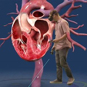 7.4M views · 19K reactions | VR medical training takes you inside the human body. | Scout House | Facebook