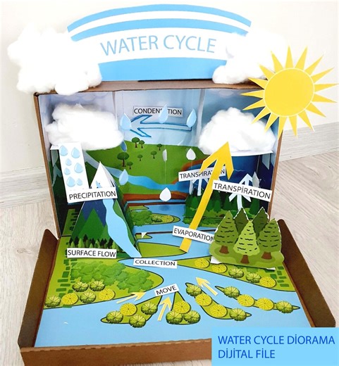 Printable Water Cycle Shoebox Diorama:project for Kids Digital File - Etsy