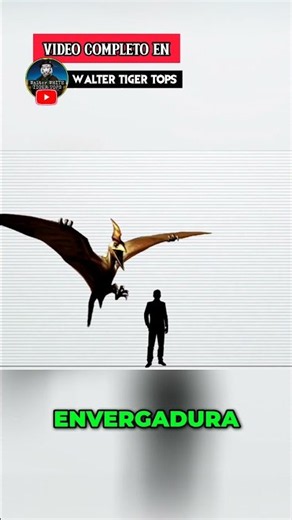 Dino Stalker sized Pteranodons
