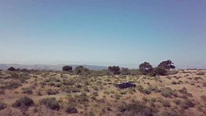 This National STEM Day, walk along with students in the field and find out just how wild a classroom can be. Visit Nature Lab, TNC's youth curriculum platform, to explore educational resources: https://nature.ly/471Ih1n. | The Nature Conservancy in California