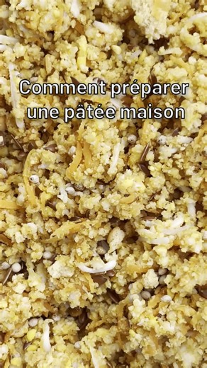 Pâtée maison pour jeunes canaris : recette facile et vitaminée