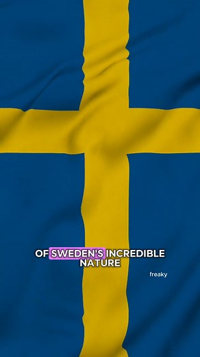 27K views · 765 reactions | Sweden’s Nature Is Straight Out of a Fairy Tale #sweden #nature #highlights #everyone | Freaky and Fascinating | Facebook