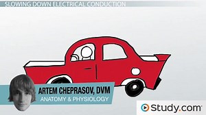 Multiple Sclerosis: Why it Occurs and What Can Be Done