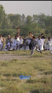 "Sky Racers: The Thrilling Goshawk Speed Competition in Pakistan!" Mehmood Malik a passionate and traditional falconer from Khour city. #goshawk #raptors #birdsofprey @highlight | Asif Ali