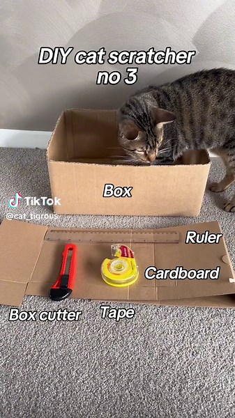 DIY Cat Scratcher Tutorial for Your Furry Friend