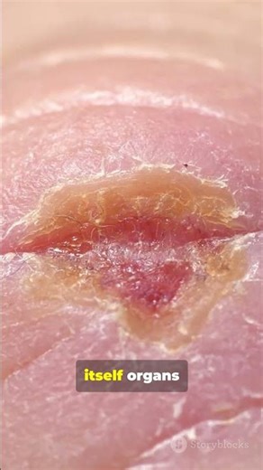 What Would Humans Look like in The Next a 1000 years