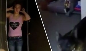 Police officer SHOOTS pet dog dead as he fears attack