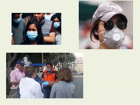 Proyecto integrador, módulo 15. M15S4PI