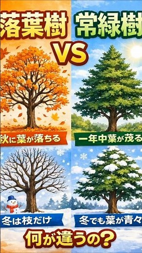 The difference between deciduous trees and evergreen trees #deciduous trees #evergreen trees