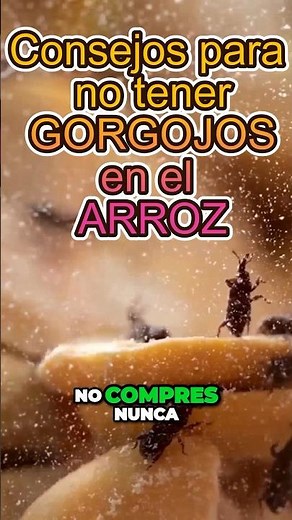 TIPS TO AVOID WEEVILS IN RICE?