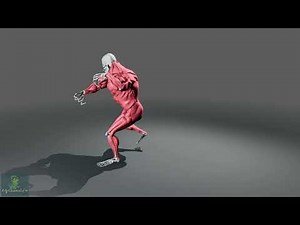 The Complete guide to ZIVA Dynamics