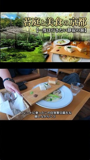 【京都旅行】嵐山の喧騒を避けて奥嵯峨へ。息を呑む青苔の絶景と無数の石仏群を巡る大人の京都旅 #京都旅行 #京都観光 #奥嵯峨 #嵐山 #祇王寺 #化野念仏寺 #京都Vlog #大人の休日