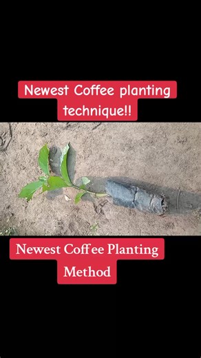 Farmwithnazareth on TikTok