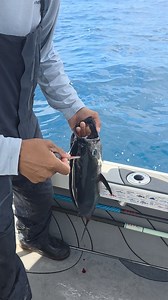 28K views · 665 reactions | For Educational Purposes - Many of you...