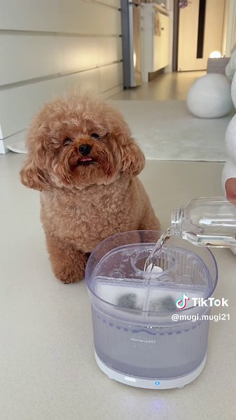 ホームランペットのコードレス自動給水機