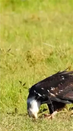 16K reactions · 625 shares | Nature surrounding us #Relaxation​ #CalmingMusic​ #HealingVibes​ #MusicalBliss | Tatyana Tanya | Facebook