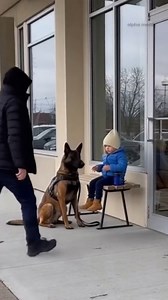 Four Legs, One Promise: Protection 🐾 A stranger creeps closer with bad intentions, believing no one is watching. But the moment he moves toward the baby, a guard dog springs into action. Refusing to back down, the dog places itself directly in harm’s way, daring the intruder to take another step. Faced with pure courage and devotion, the thief has no choice but to flee. Sometimes the strongest security system is loyalty itself. Created with the help of AI. #GuardDogStory #AnimalInstinct #BabySa