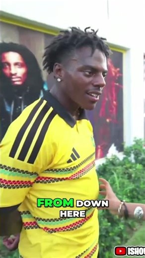 The Wailers: Bob Marley's Band Name Meaning Explained #shorts