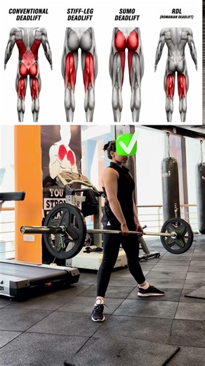 Deadlift variations, different stimulation 💀🔥