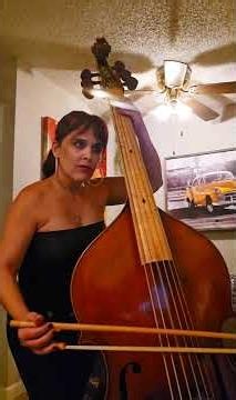 #violone #viola da gamba #doublebass