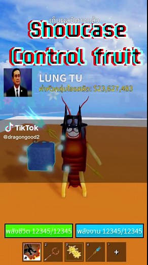 Roblox Blox Fruits Showcase Control