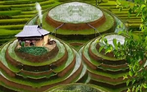 “神仙”一般是指修炼得道，神通广大，变化莫测而又长生不死之人。神与仙是有区别的，神分为先天之神与后天之神，先天之神是指天地未分之前就存在的真圣，也称先天真圣。